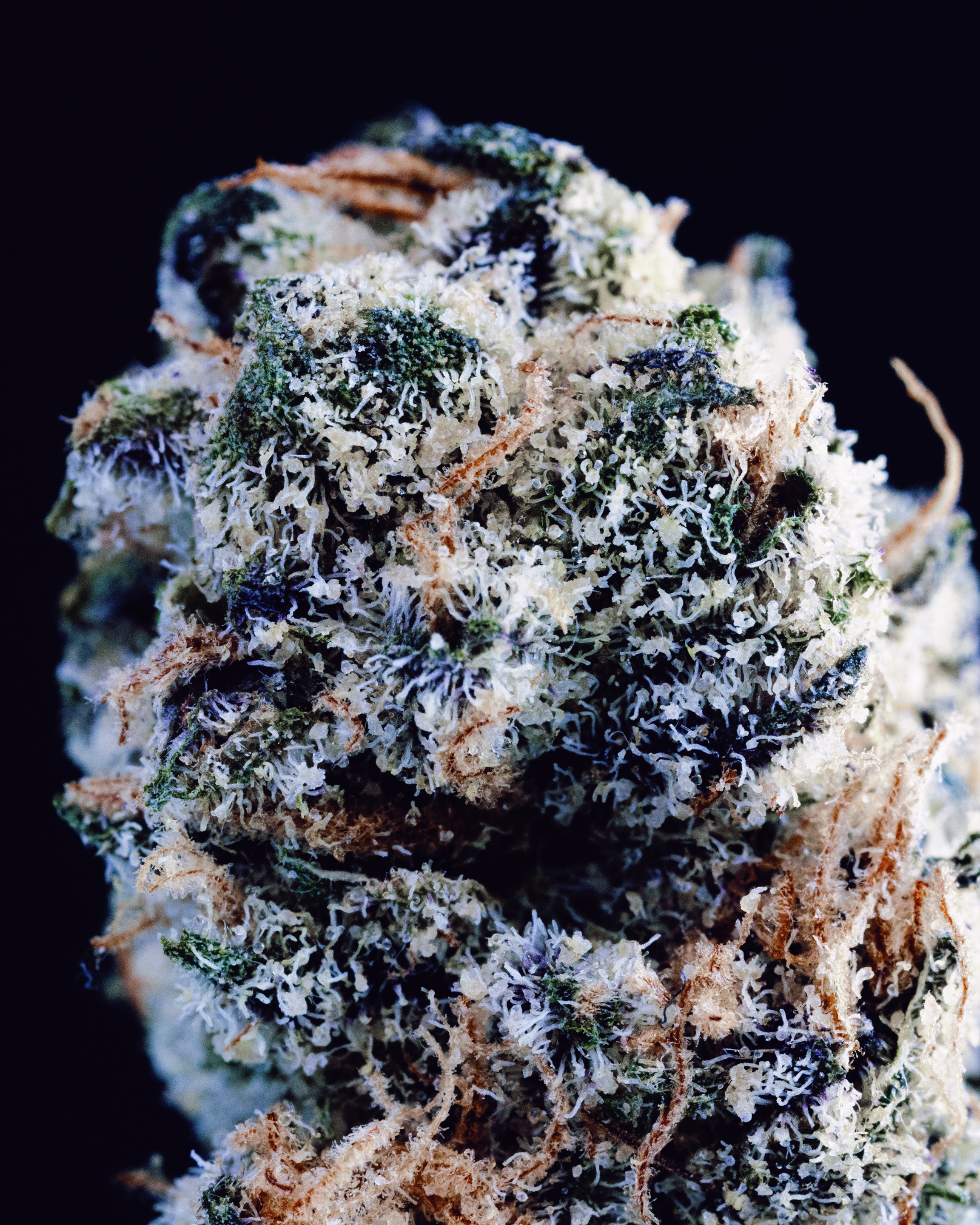 MACRO-0004 - cannabis macro asset