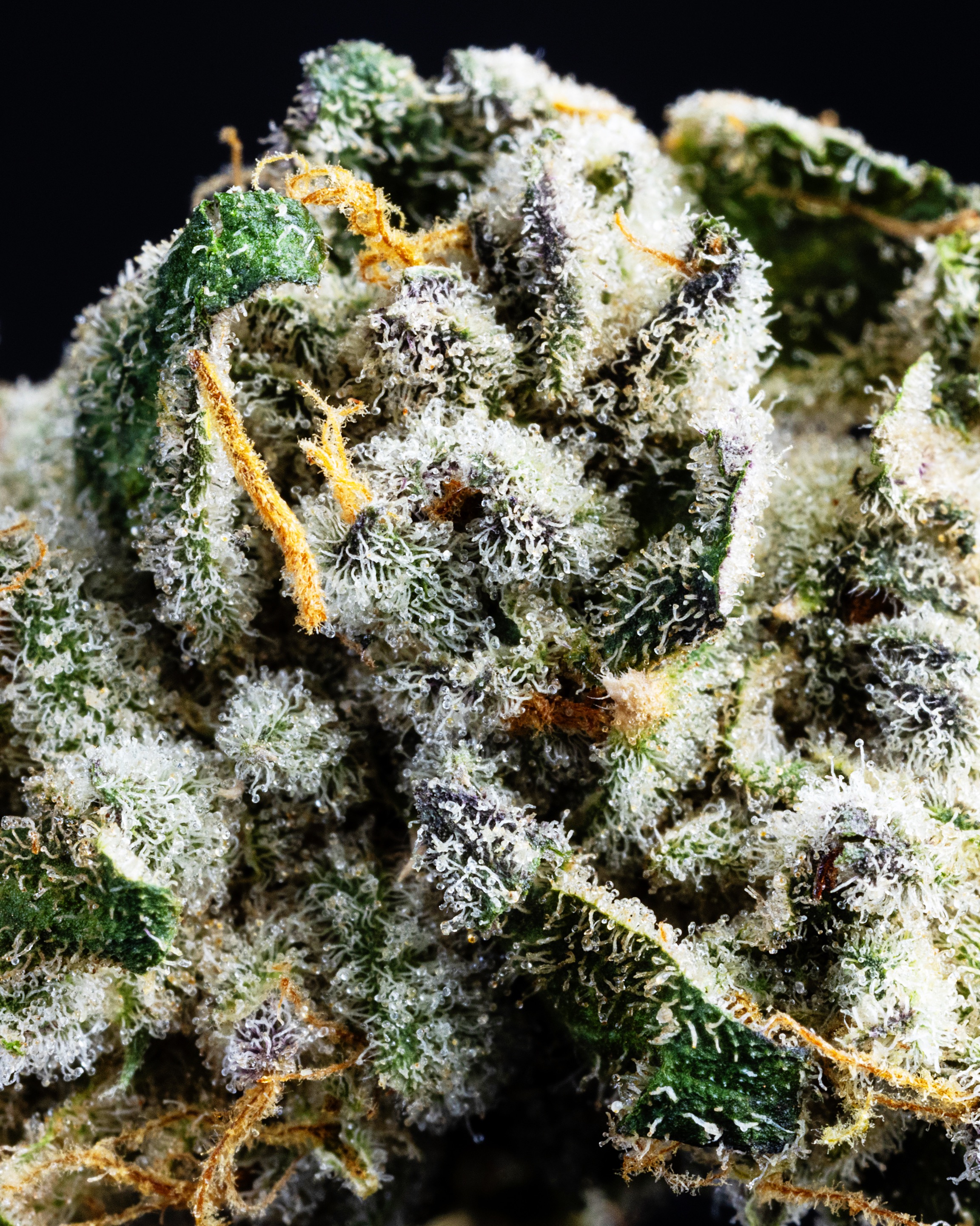 FLOWER-0574 - cannabis macro asset