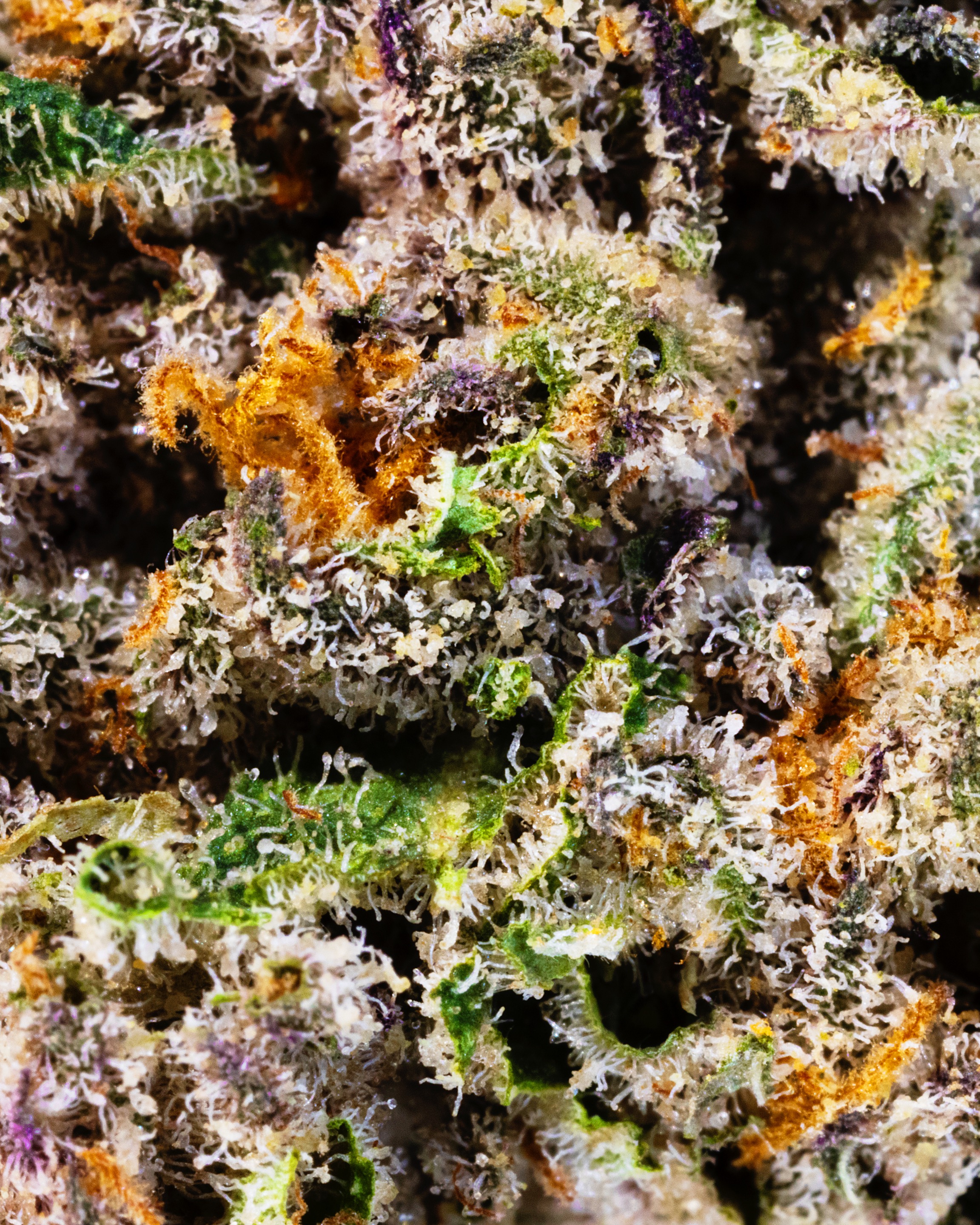 FLOWER-0575 - cannabis macro asset