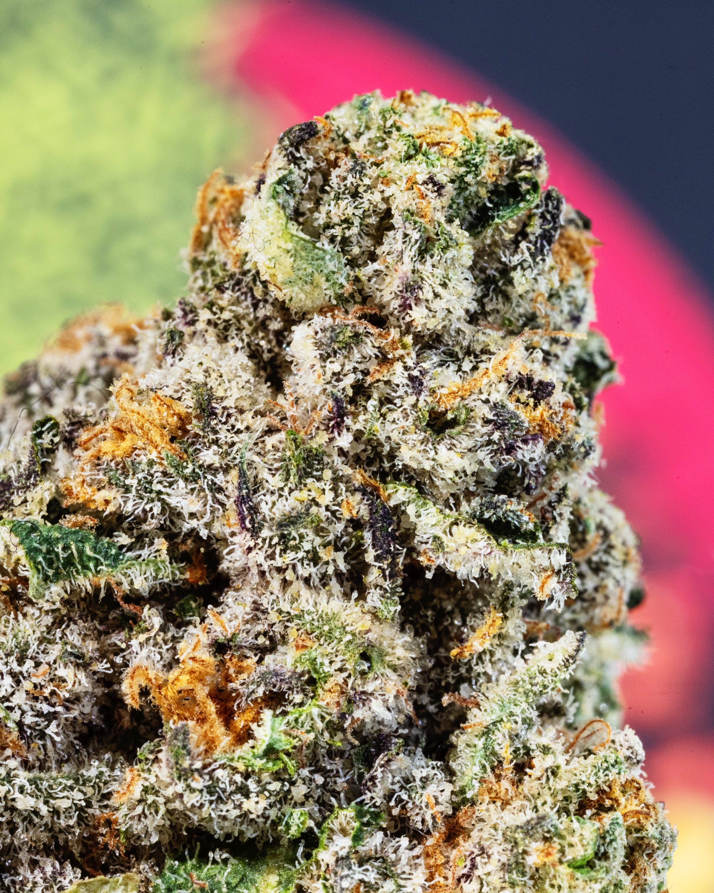 FLOWER-0573 - cannabis macro asset