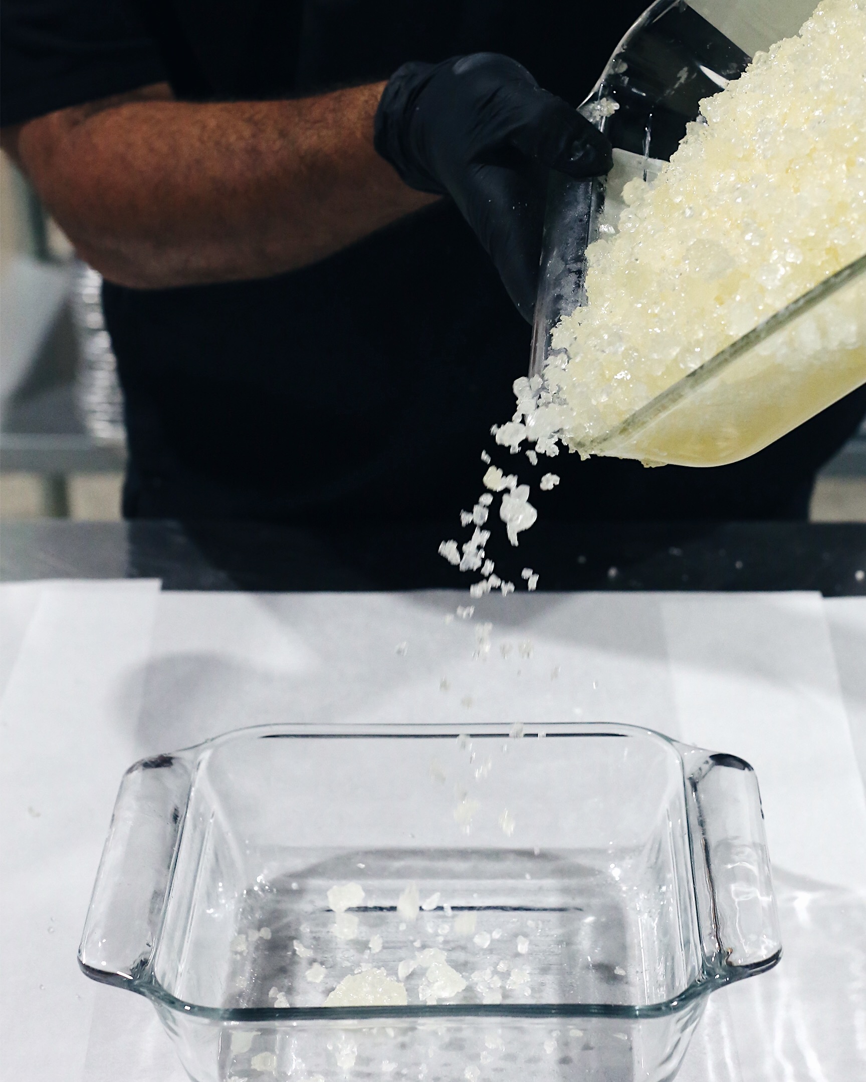 CONCENTRATES-0409 - cannabis extraction asset