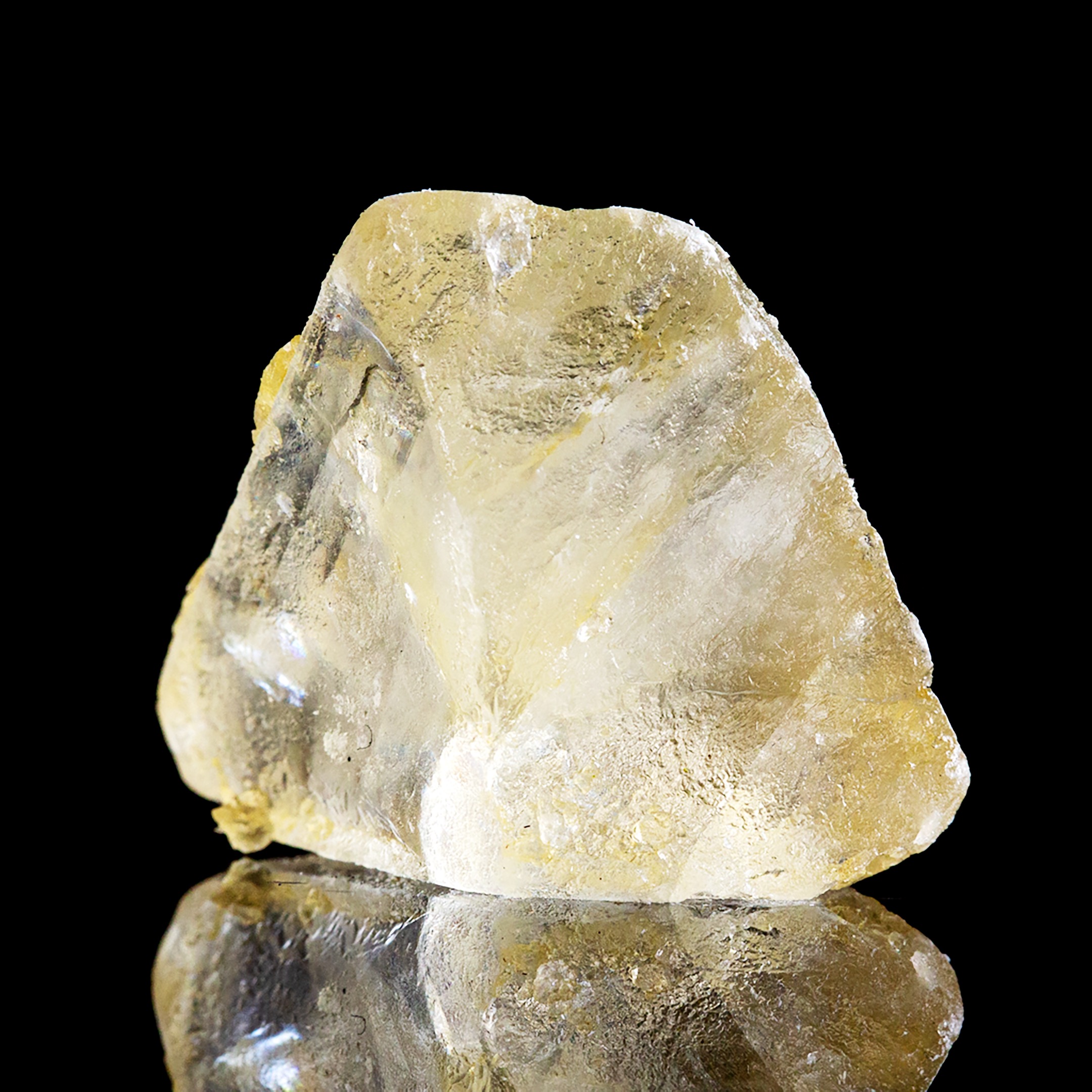 CONCENTRATES-0396 - cannabis concentrates asset