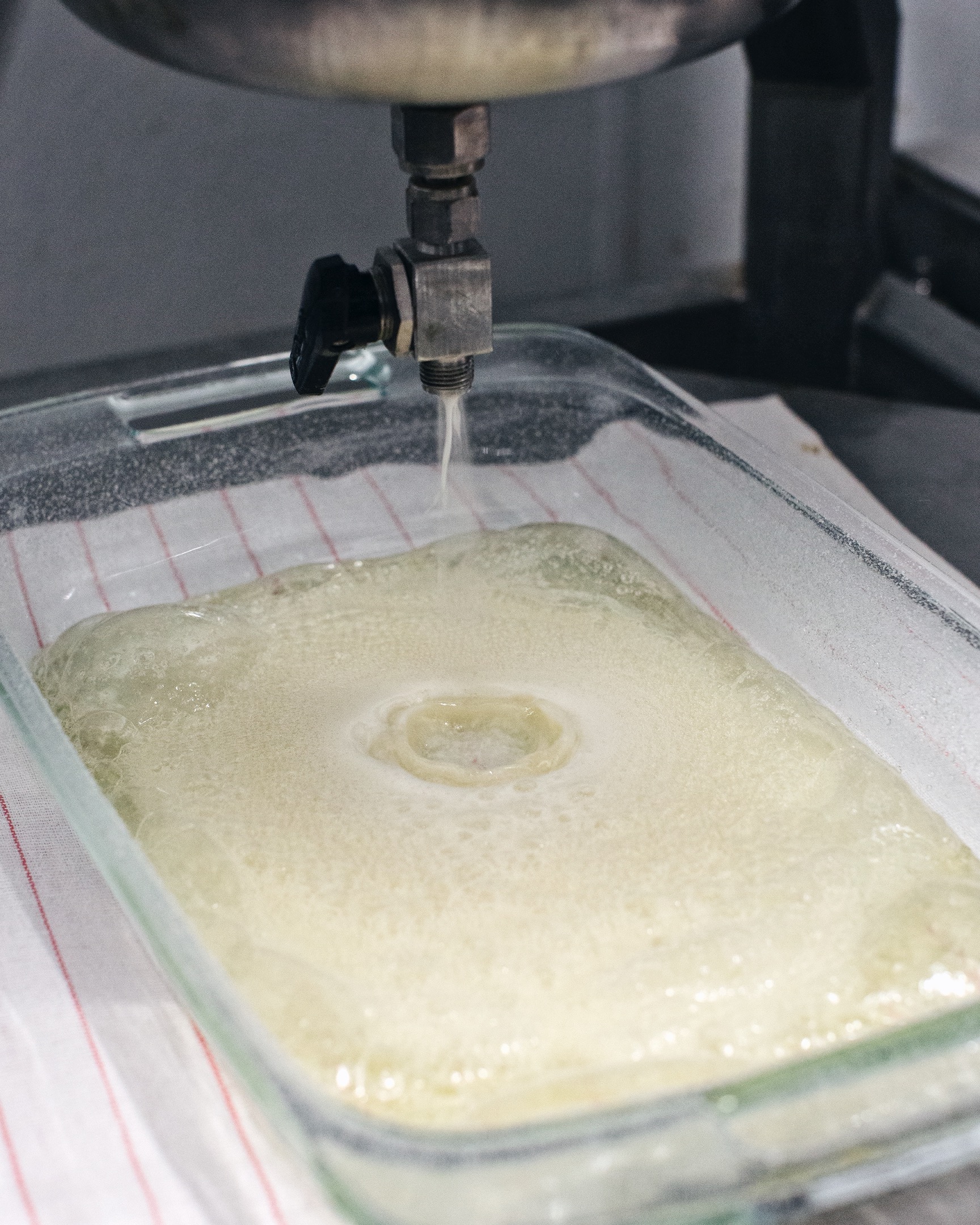 EXTRACTION-0045 - cannabis extraction asset