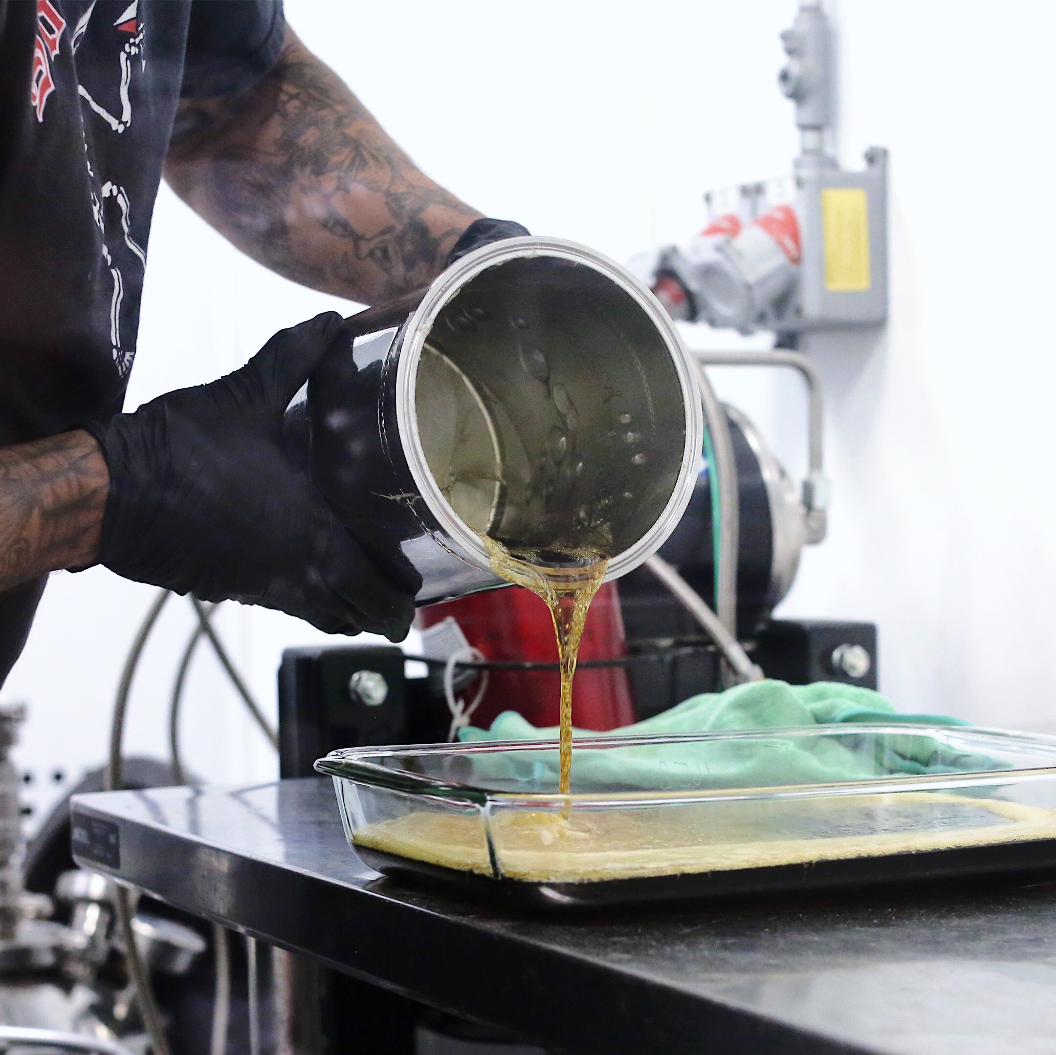 EXTRACTION-0043 - cannabis extraction asset