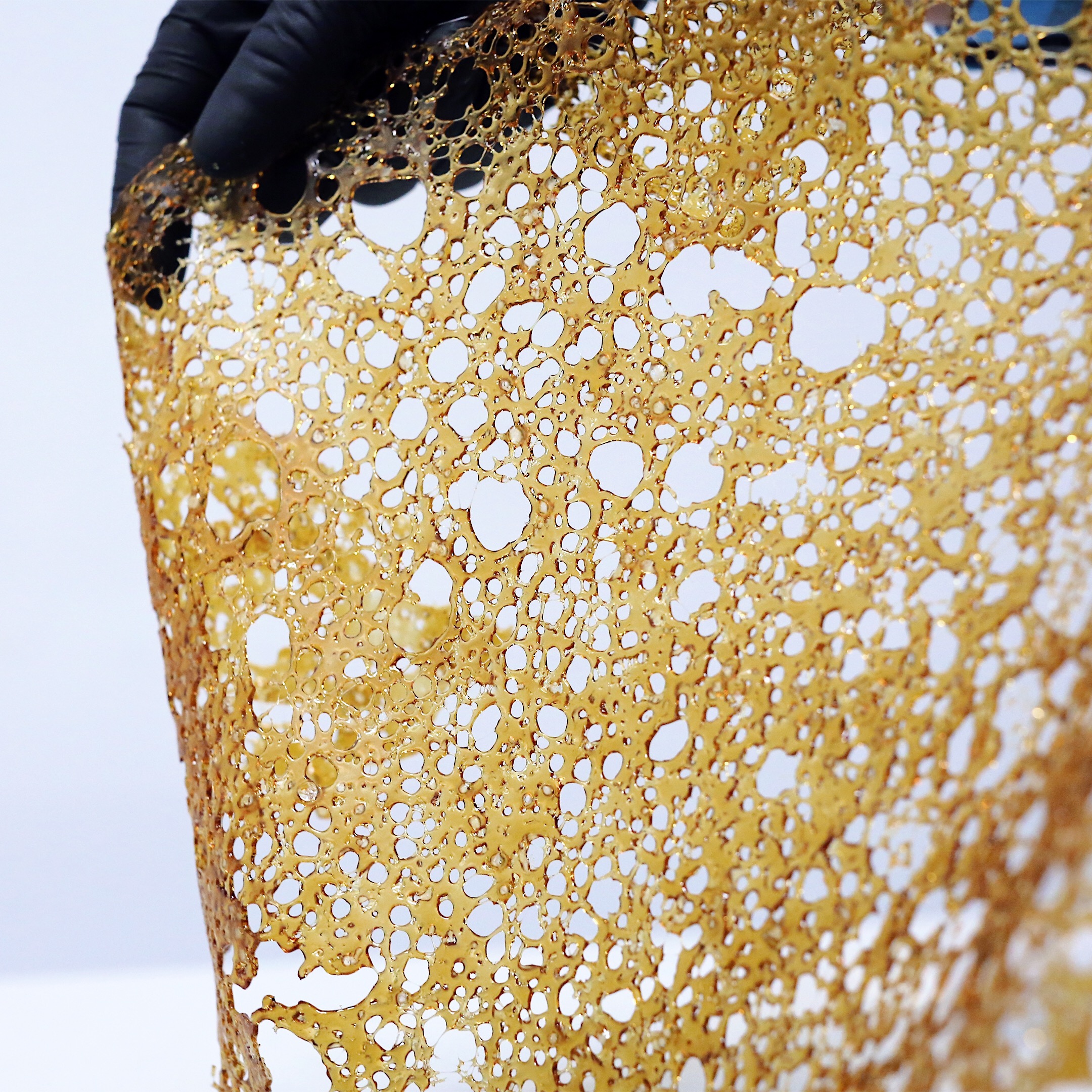 EXTRACTION-0042 - cannabis extraction asset