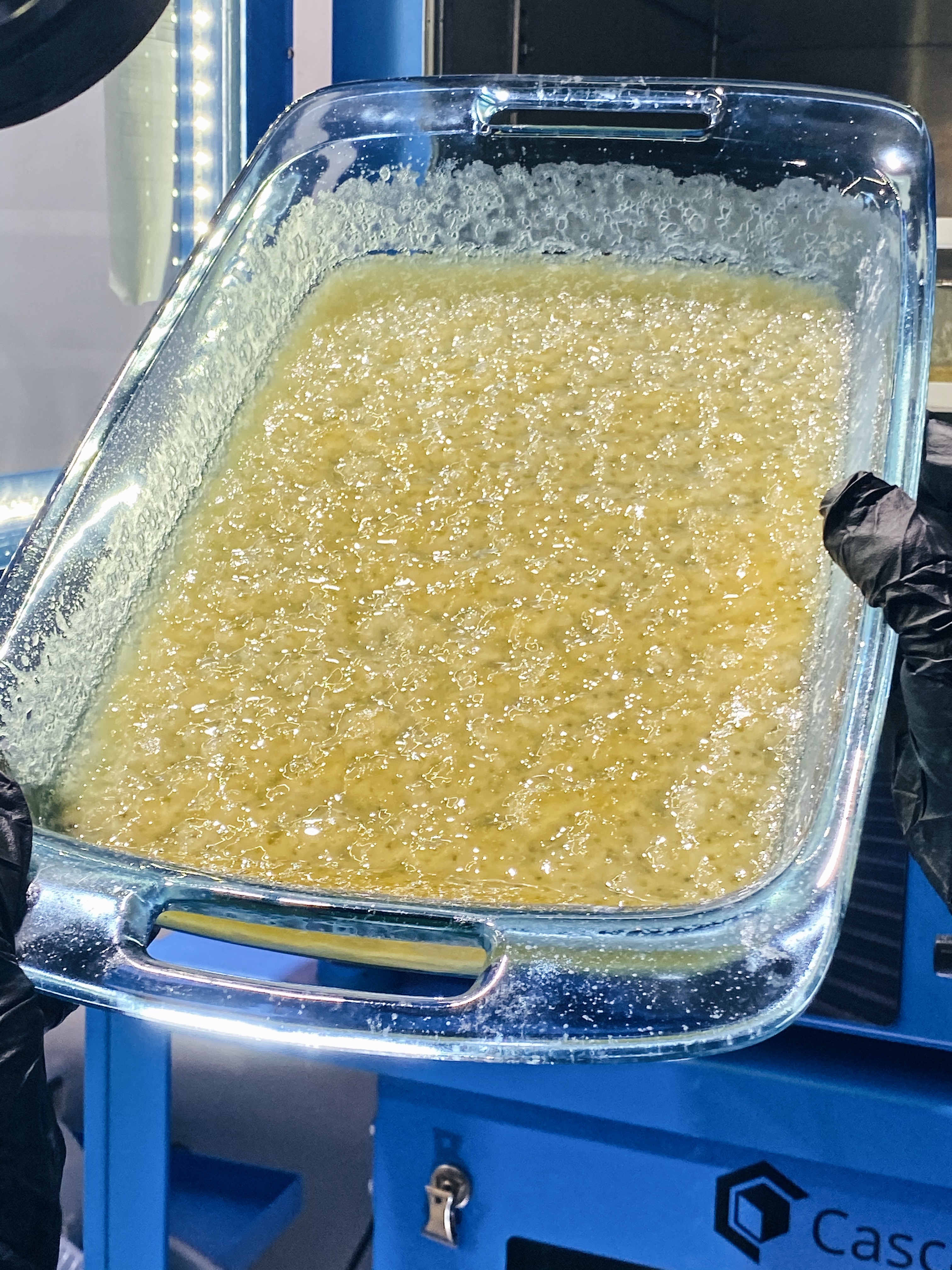 EXTRACTION-0039 - cannabis extraction asset