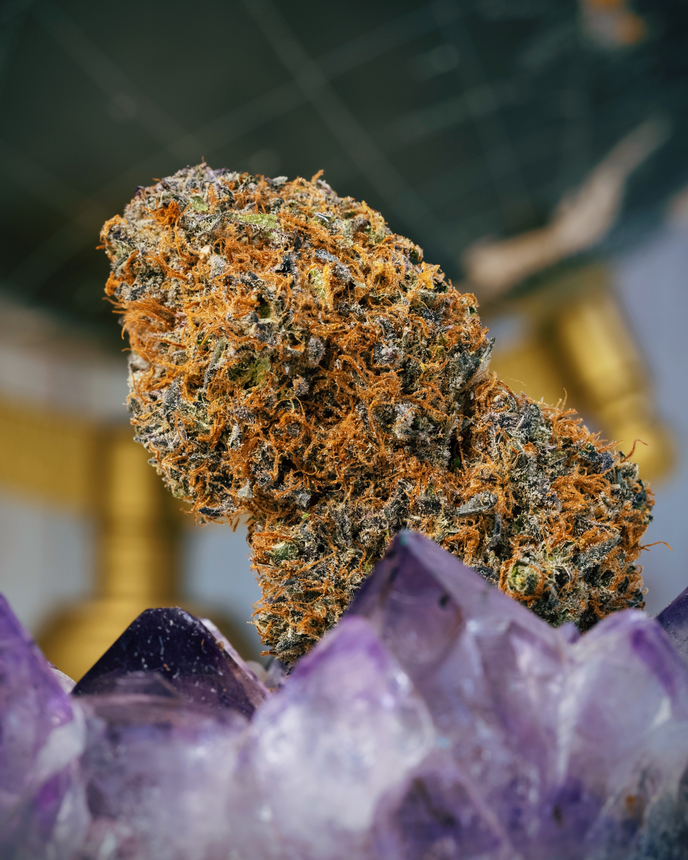 FLOWER-0618 - cannabis flower asset