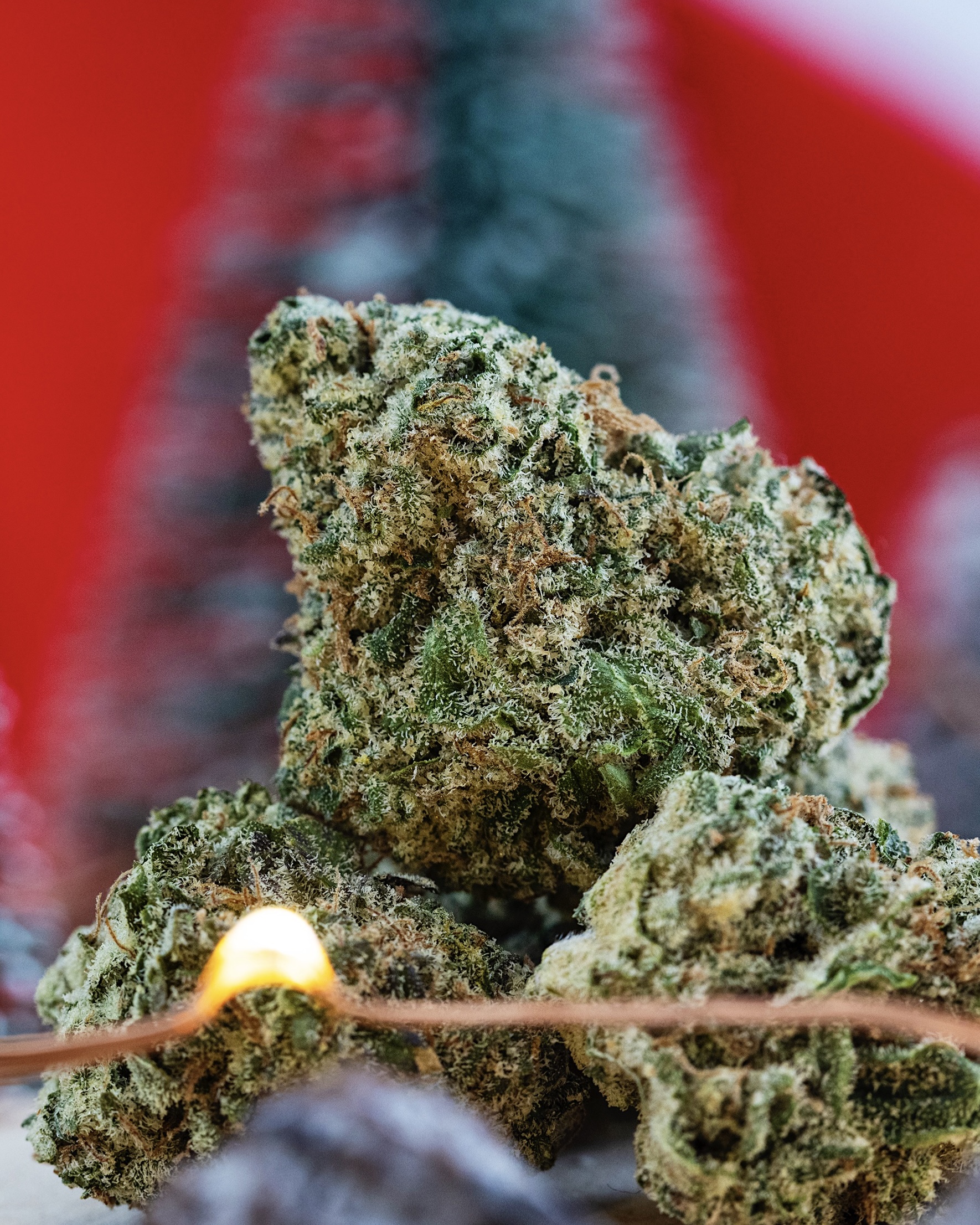 FLOWER-0613 - cannabis flower asset