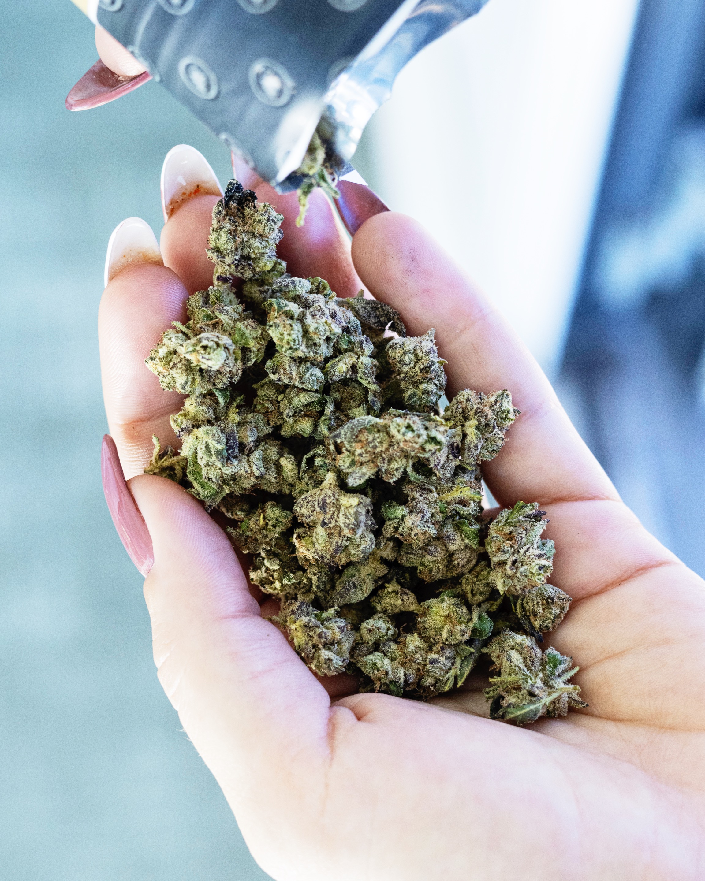 FLOWER-0612 - cannabis flower asset