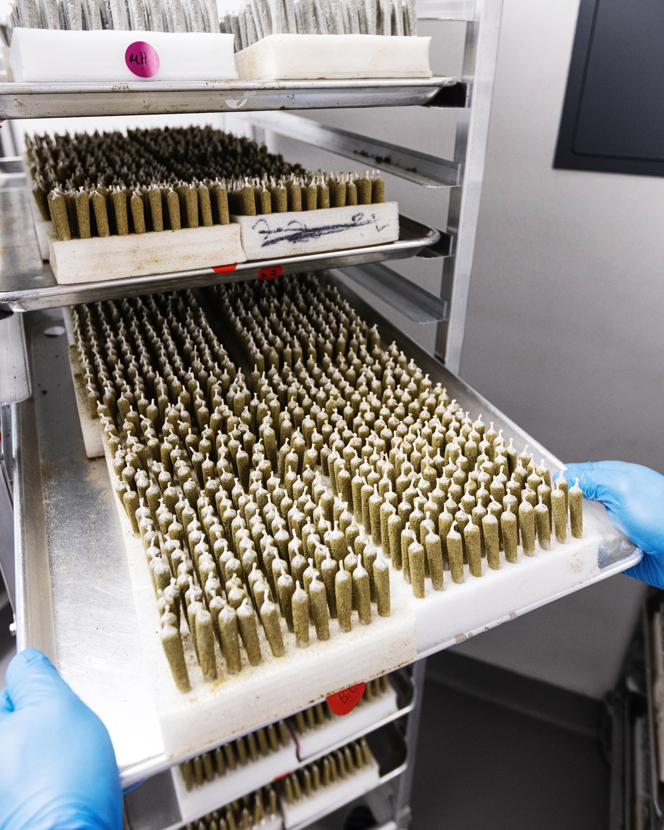 FACILITY-0186 - cannabis facility asset